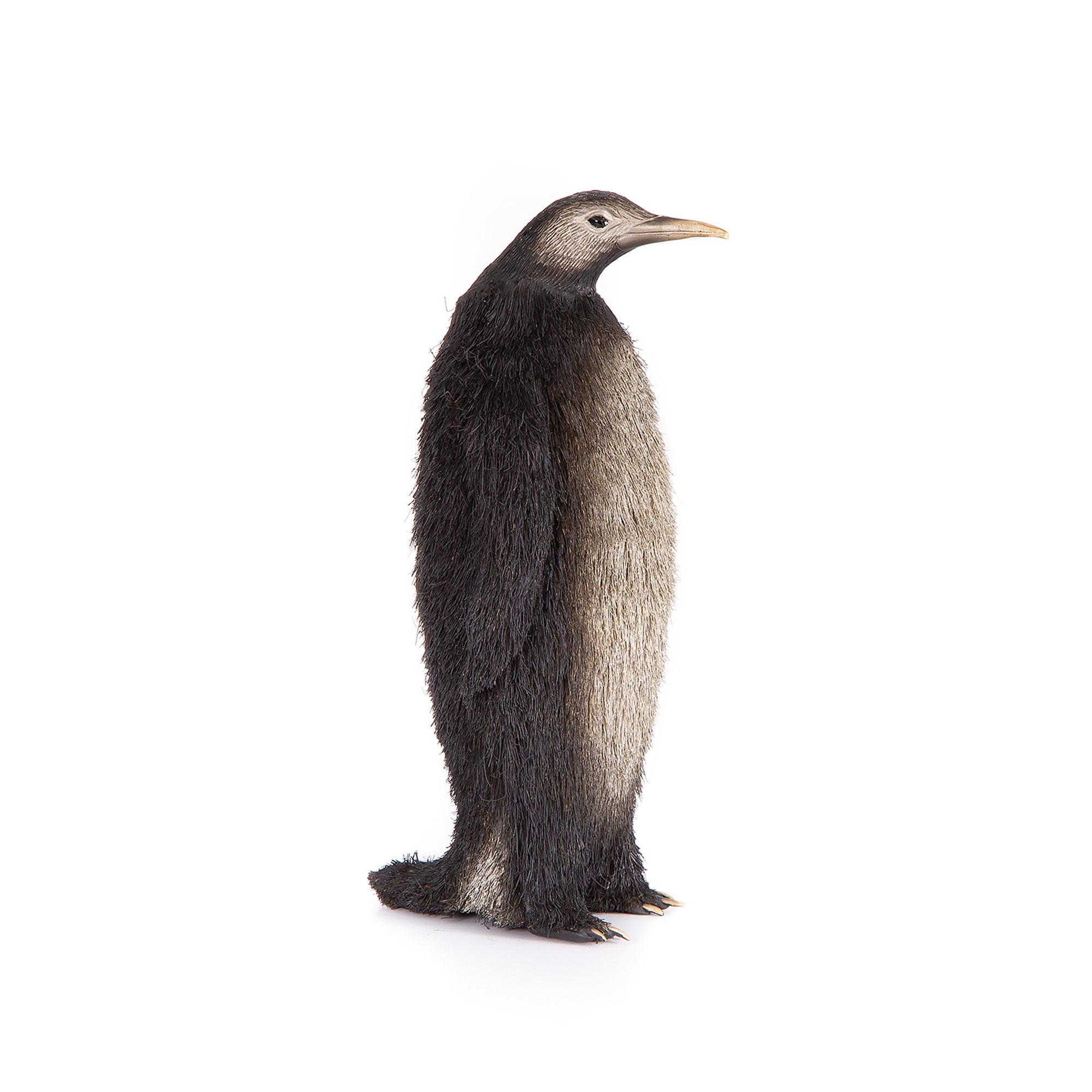 Furry Pinguin Sculpture 