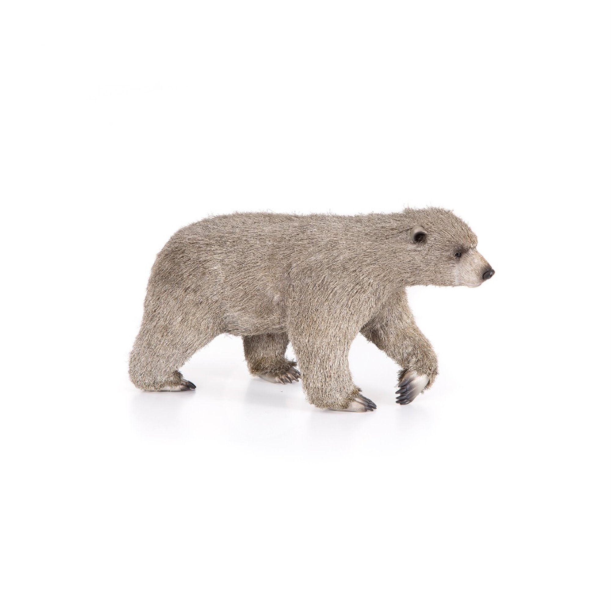 Furry Polar Bear
