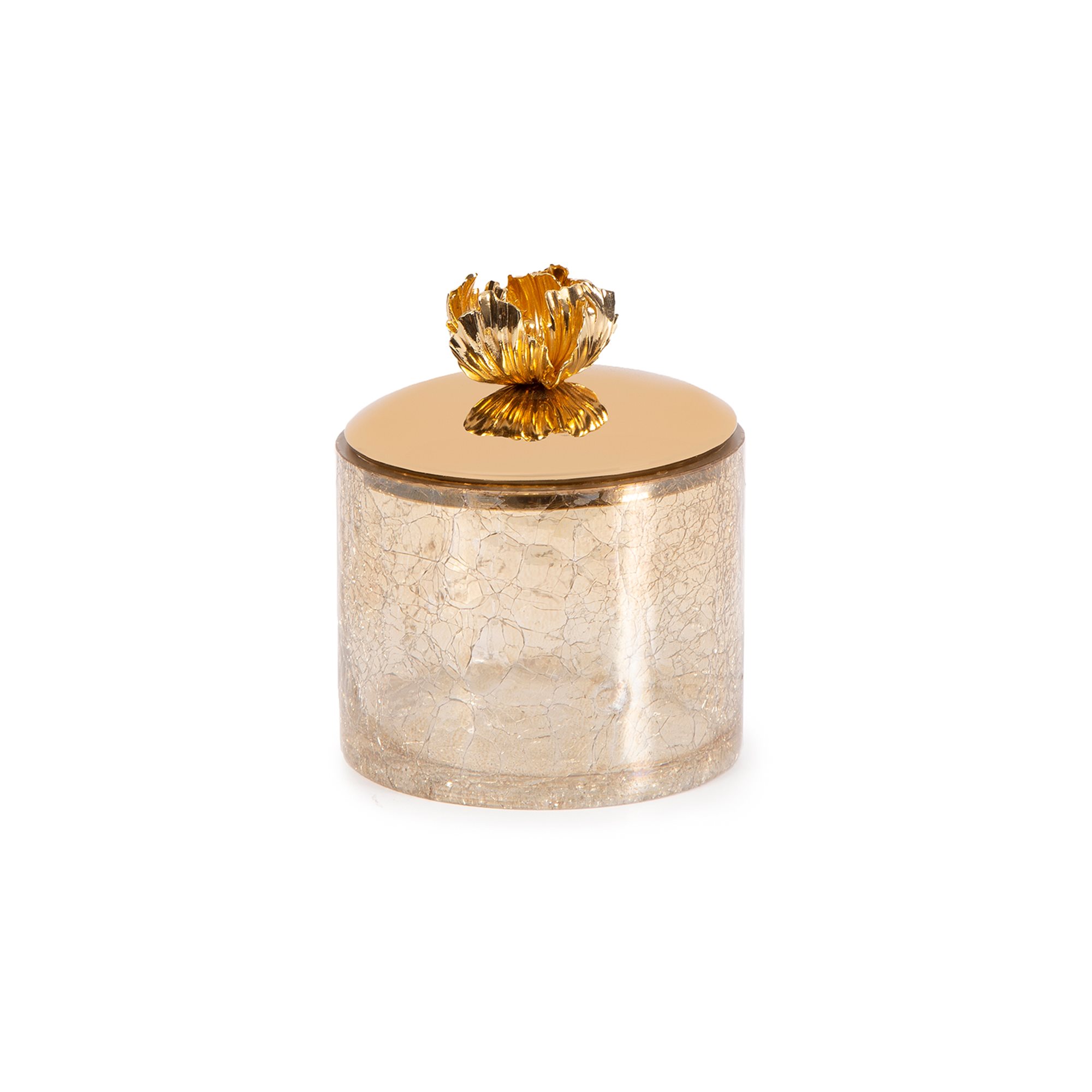 Saaya Glass Canister (Small Size)